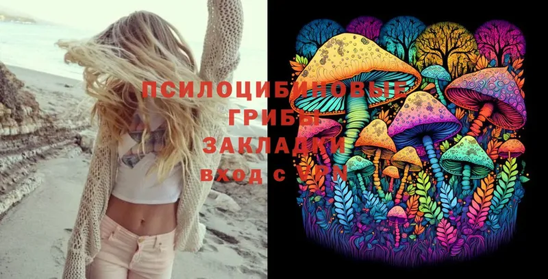 Галлюциногенные грибы Magic Shrooms  kraken ссылки  Тимашёвск 